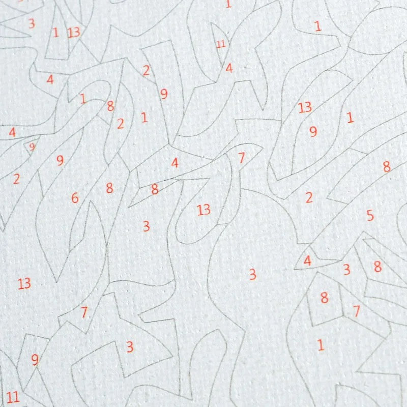 Beginner figure | Paint By Numbers with kits (Canvas- Brushes-Oil Paint Kit) 40x50cm